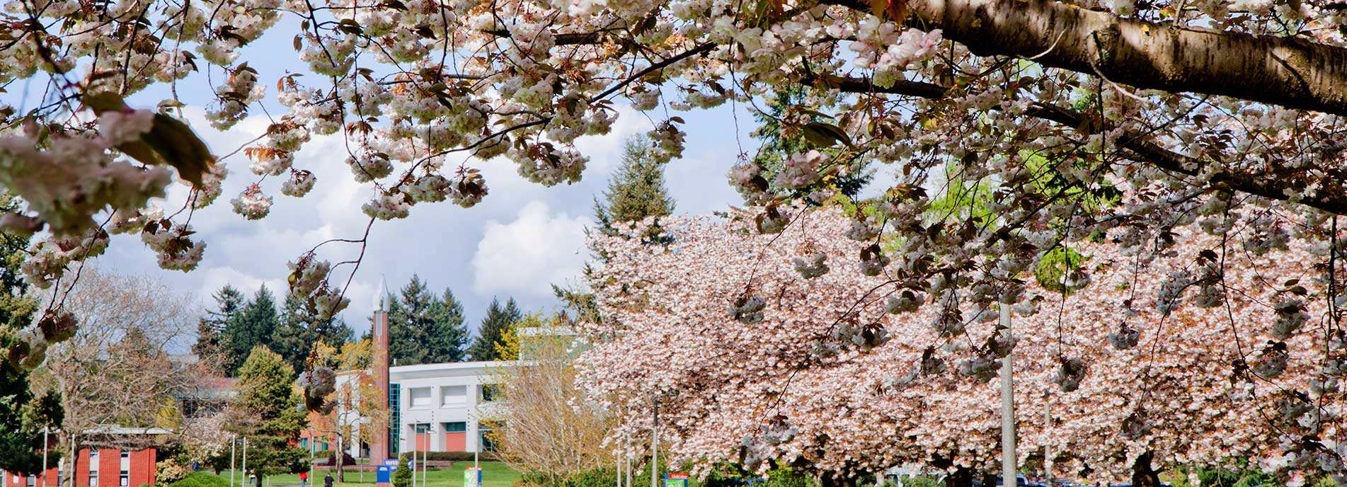 Blossoms Campus