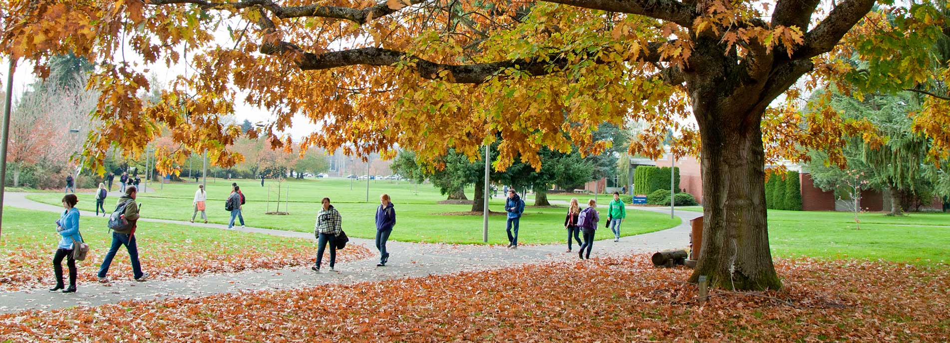 campus in the fall