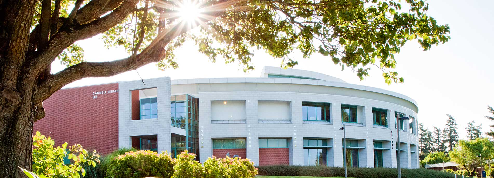 Cannell Library