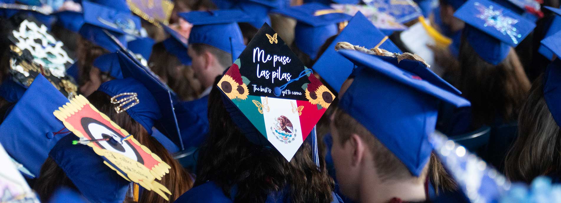 graduation