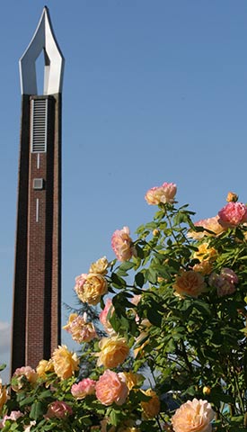 Tower