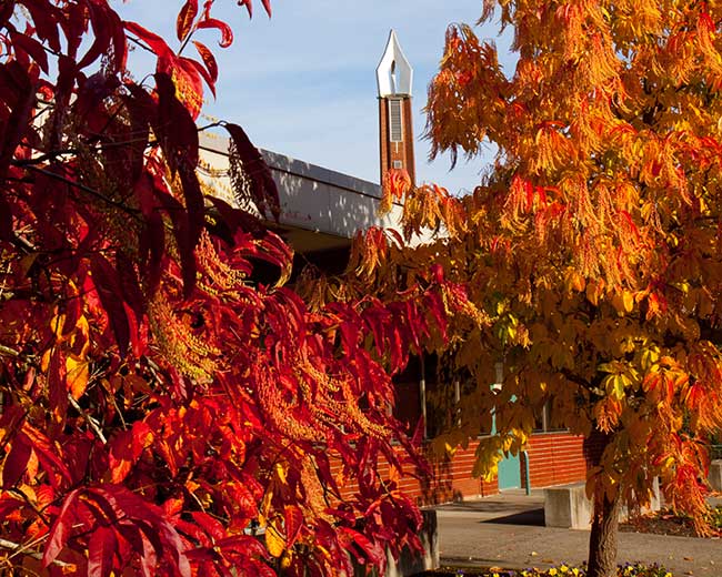campus in the fall