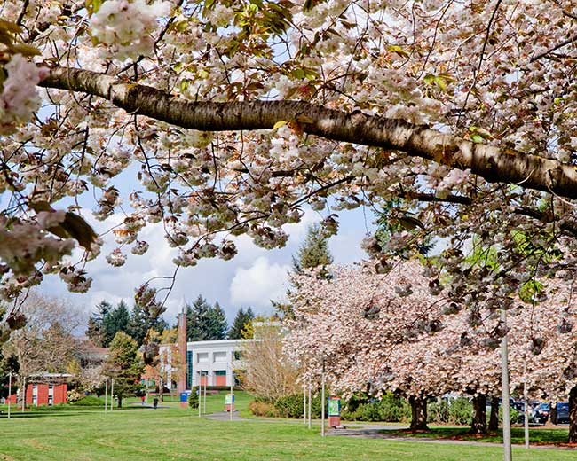 campus in blossom spring