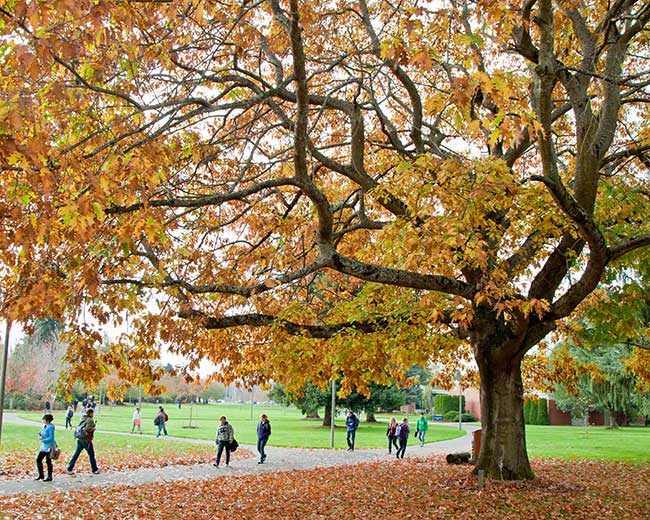 campus in the fall